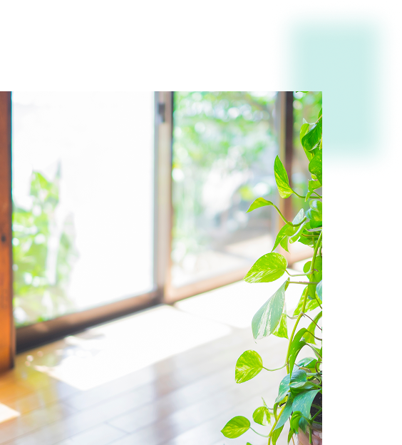 スクロール画像